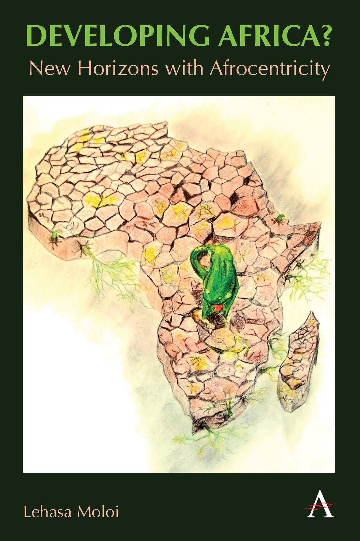 Cover image for Developing Africa? ISBN 9781839990823