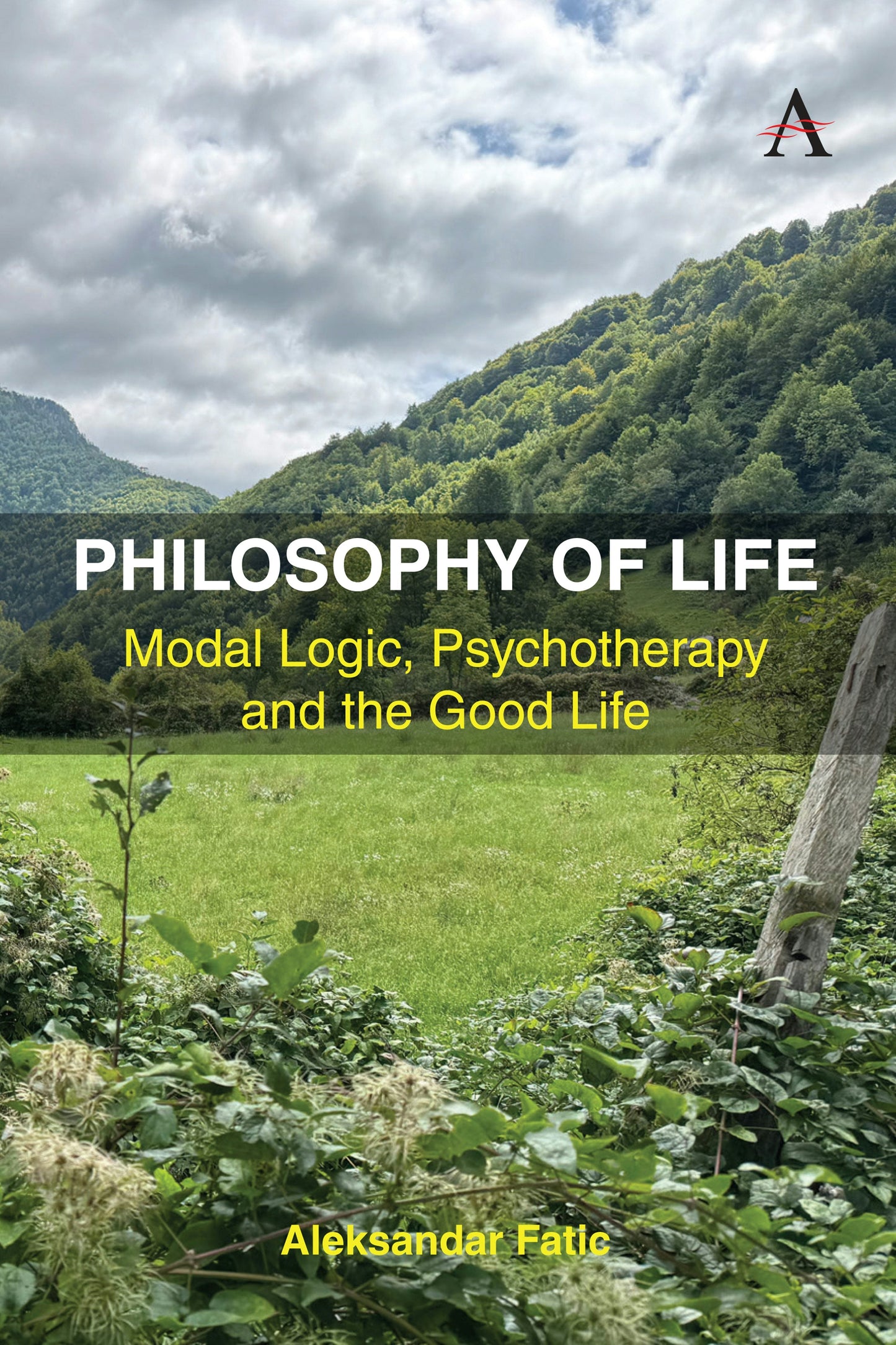 Book cover image for Philosophy of Life ISBN: 9781839998959