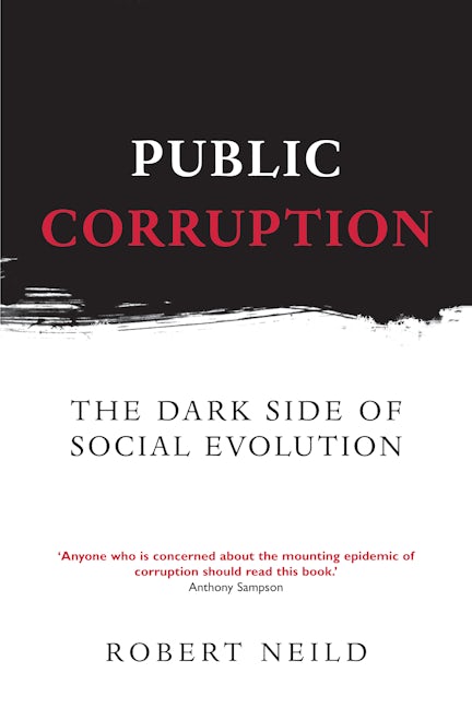 Book cover image for Public Corruption ISBN: 9781843310655