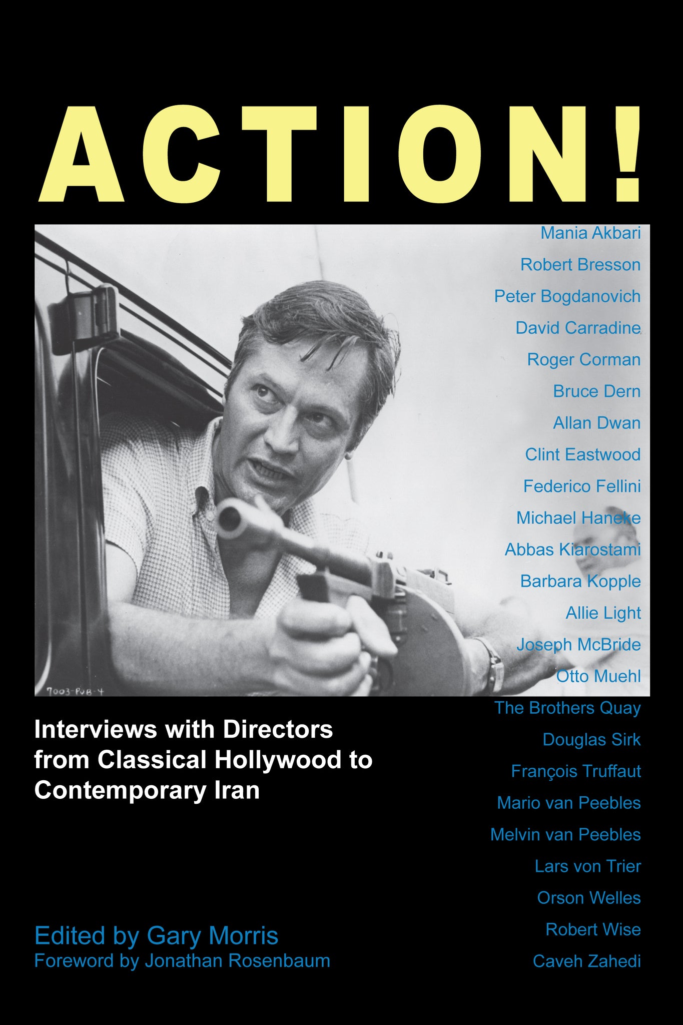 Cover image for Action! ISBN 9781843313120