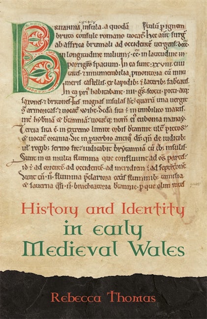 Book cover image for History and Identity in Early Medieval Wales ISBN: 9781843846277