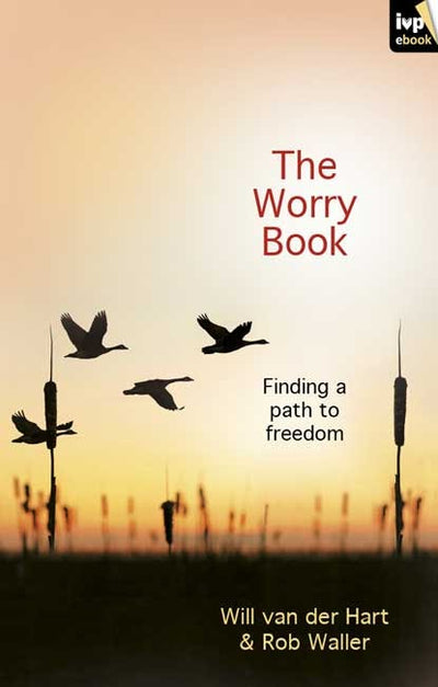 Cover image for The Worry Book, isbn: 9781844746385