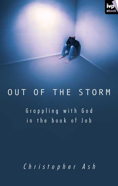Cover image for Out of the storm, isbn: 9781844747894