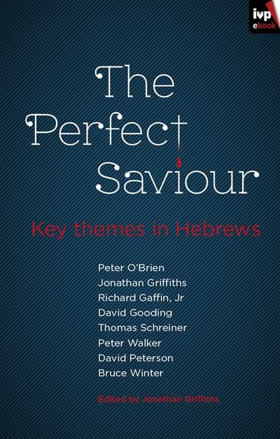 Cover image for The Perfect Saviour, isbn: 9781844747917