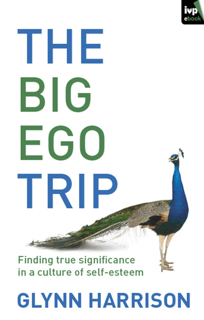 Cover image for The Big Ego Trip, isbn: 9781844748860