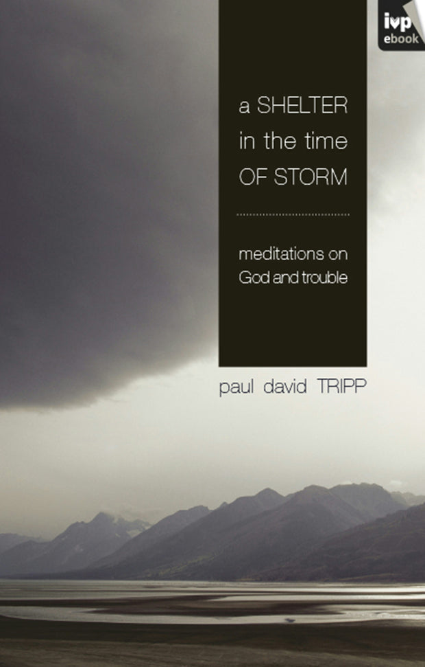 Cover image for A Shelter in the Time of Storm, isbn: 9781844749607