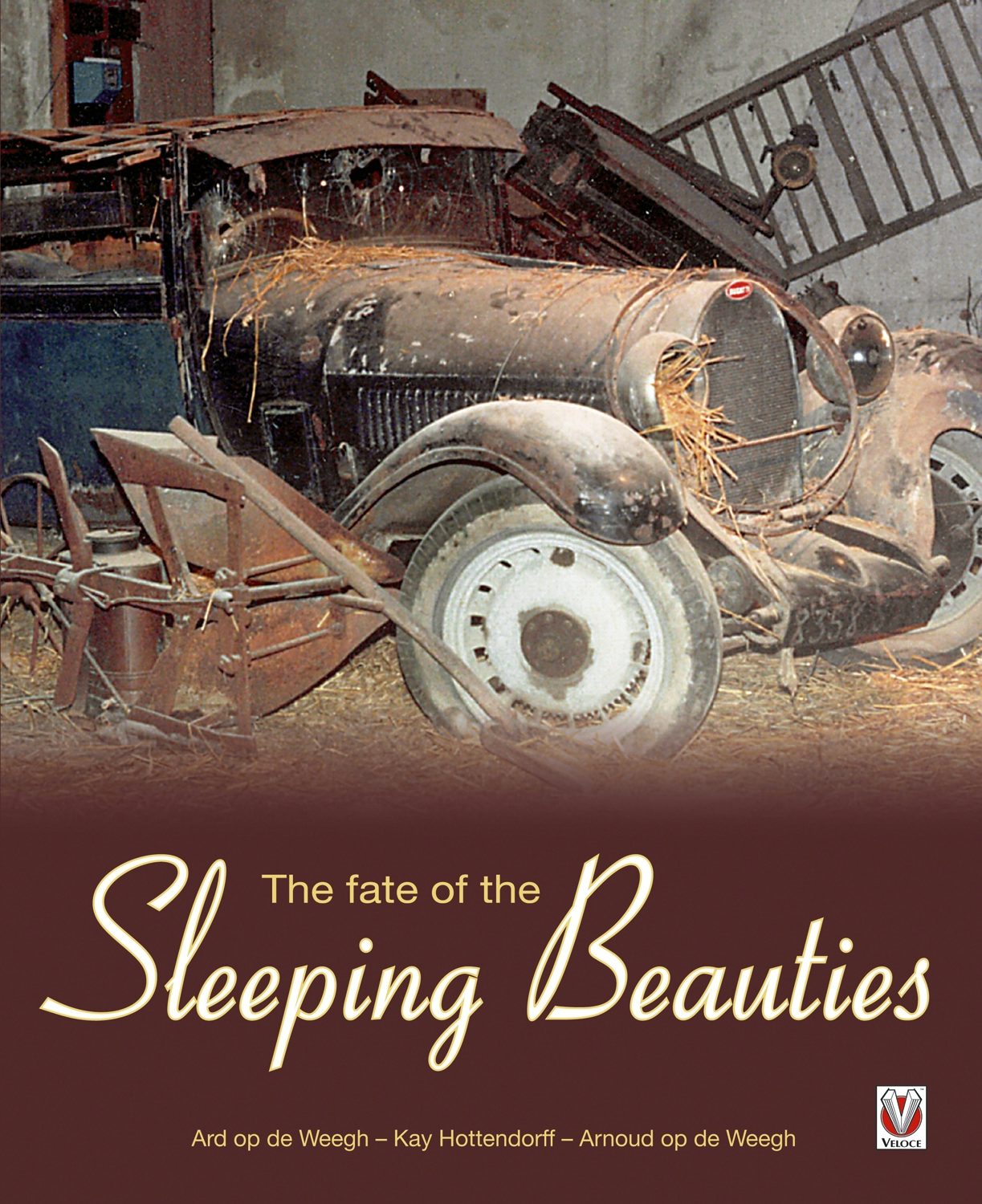 Book cover image for The Fate of the Sleeping Beauties ISBN: 9781845840709
