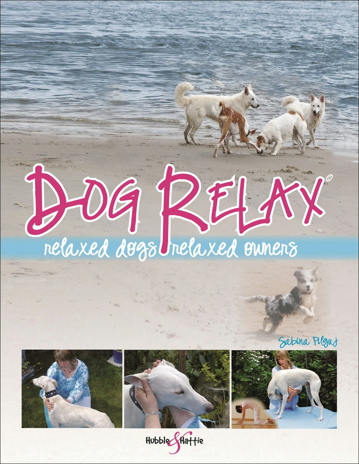 Book cover image for Dog Relax ISBN: 9781845843335