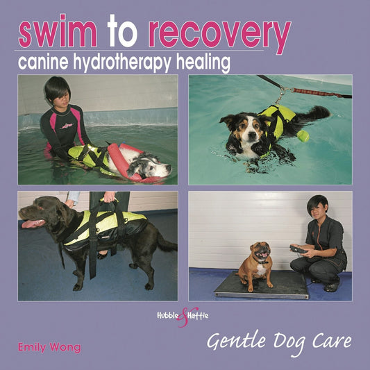 Swim to recovery: canine hydrotherapy healing