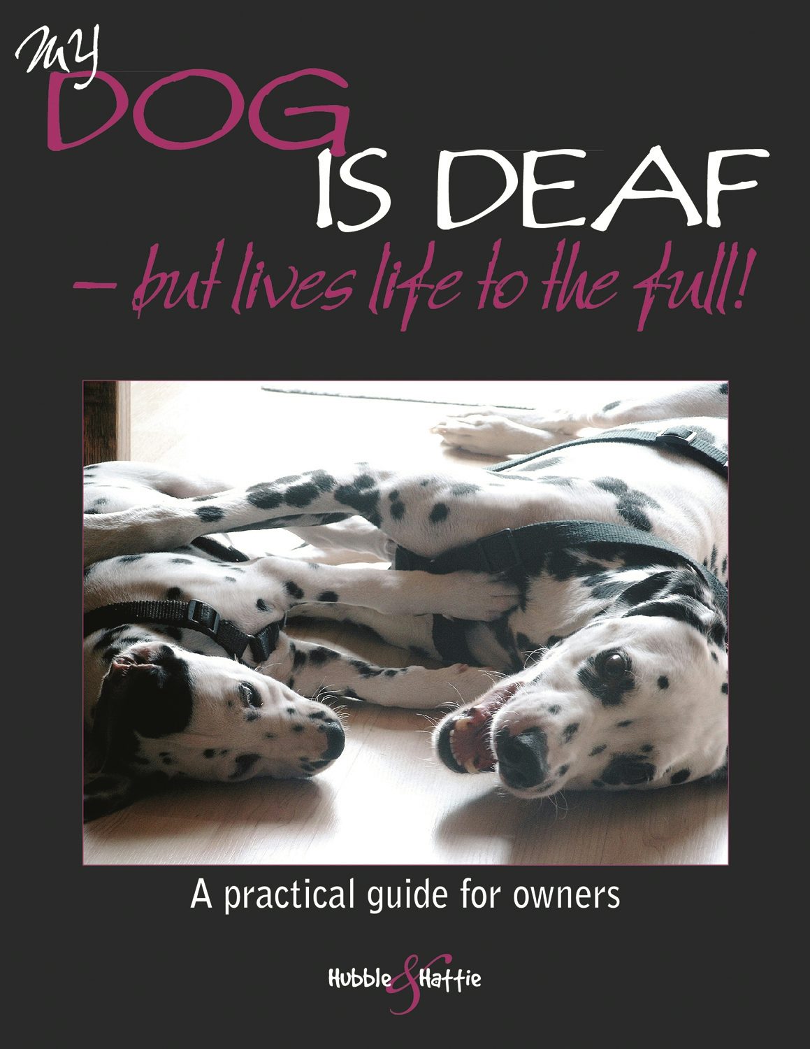 Book cover image for My dog is deaf ISBN: 9781845843816