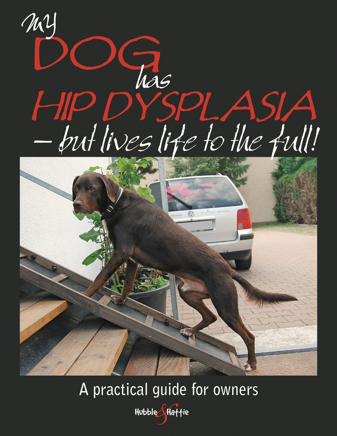 Book cover image for My dog has hip dysplasia ISBN: 9781845843823