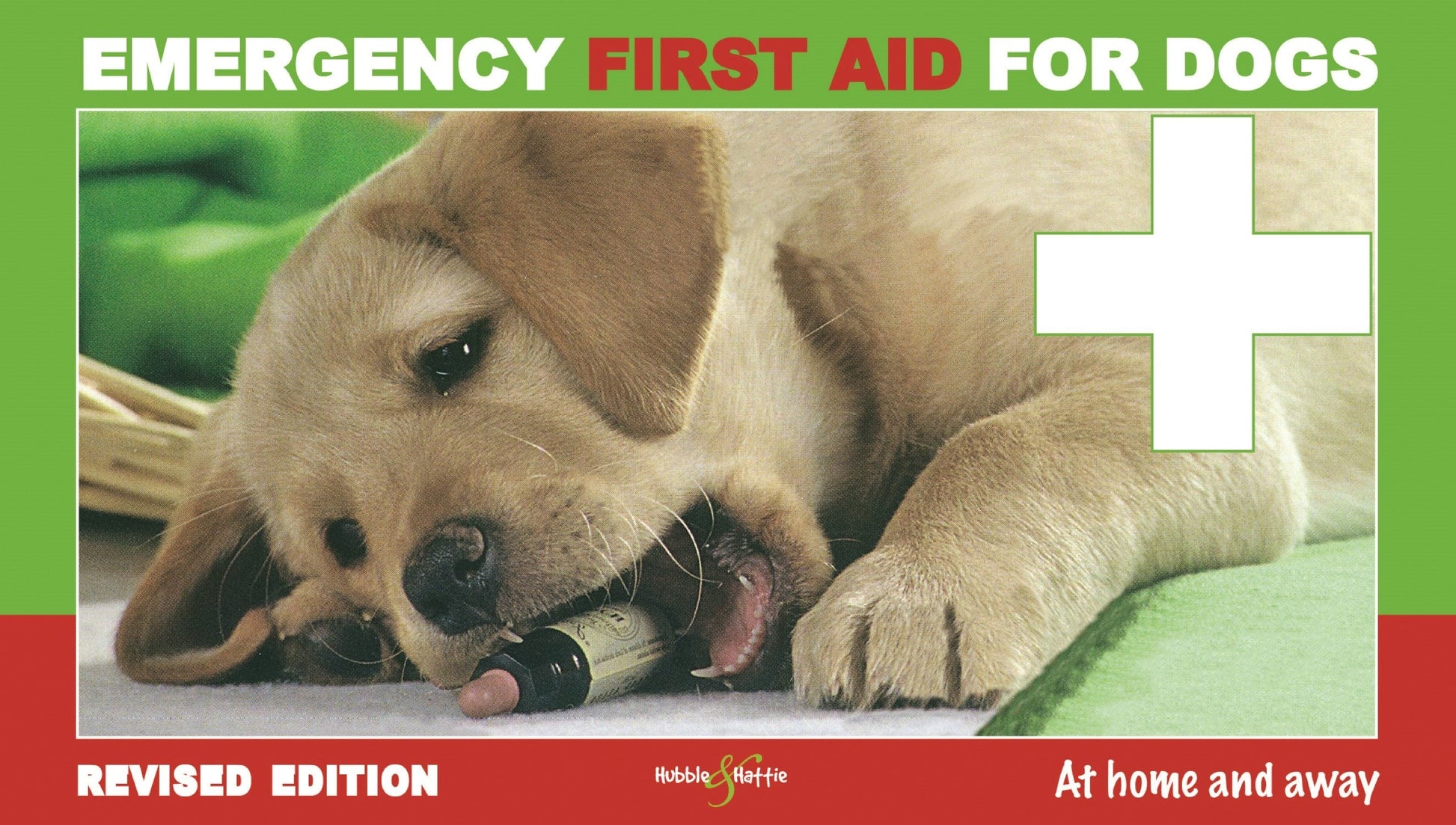 Emergency first aid for dogs