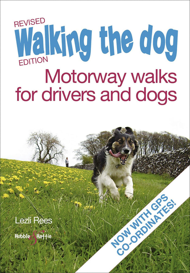 Cover image for Walking the dog, isbn: 9781845845520