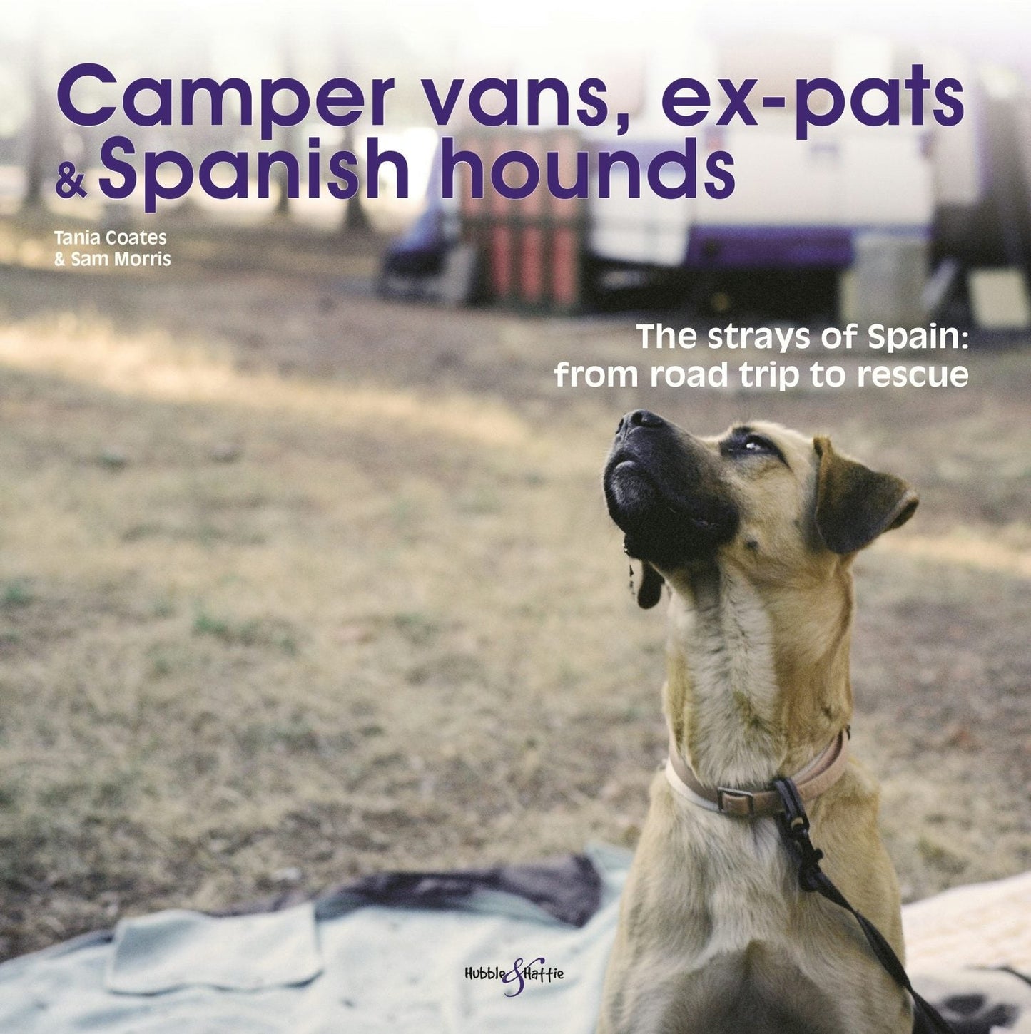 Book cover image for Camper vans, ex-pats and Spanish hounds ISBN: 9781845845704