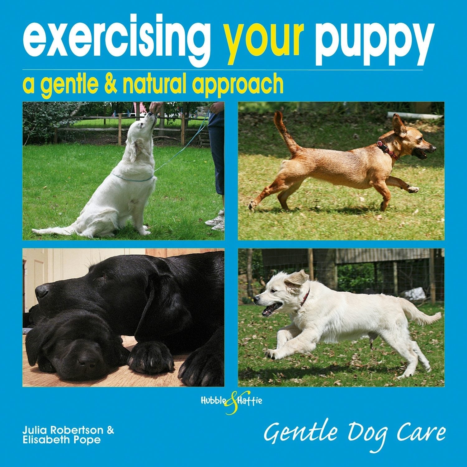 Book cover image for Exercising your puppy: a gentle & natural approach ISBN: 9781845845957