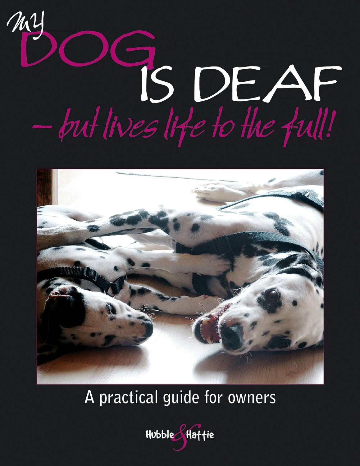 Book cover image for My dog is deaf ISBN: 9781845845964