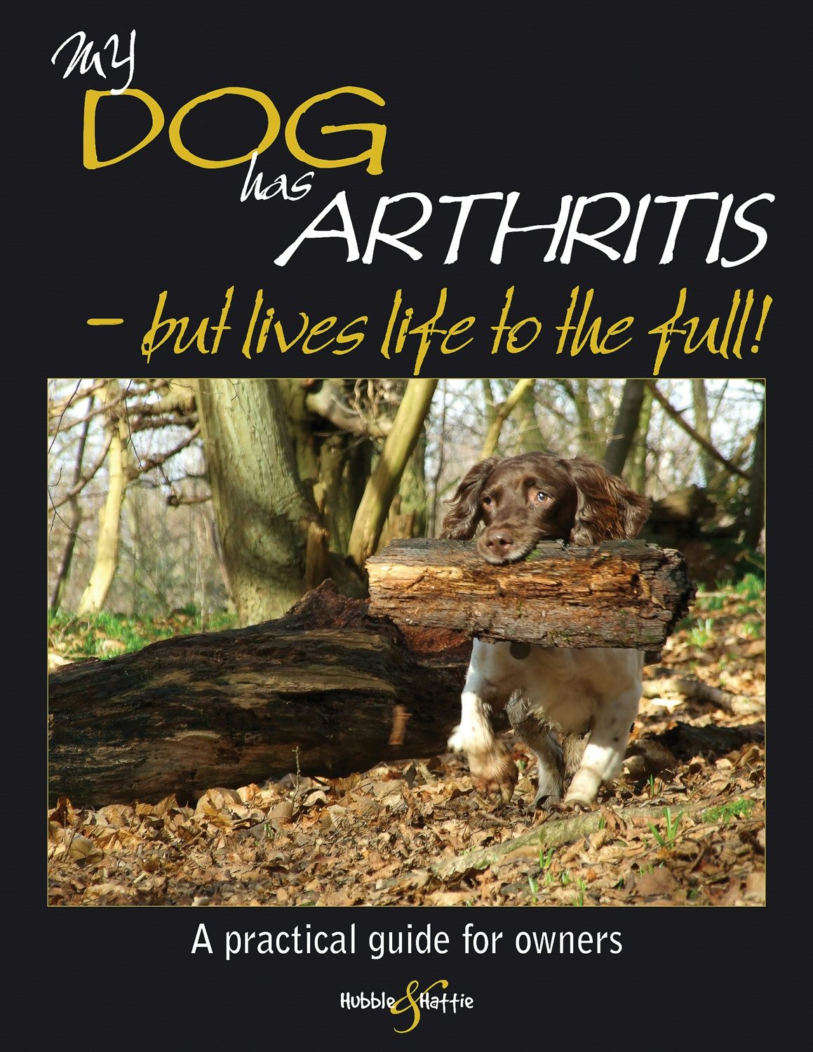 Book cover image for My dog has arthritis ISBN: 9781845846992