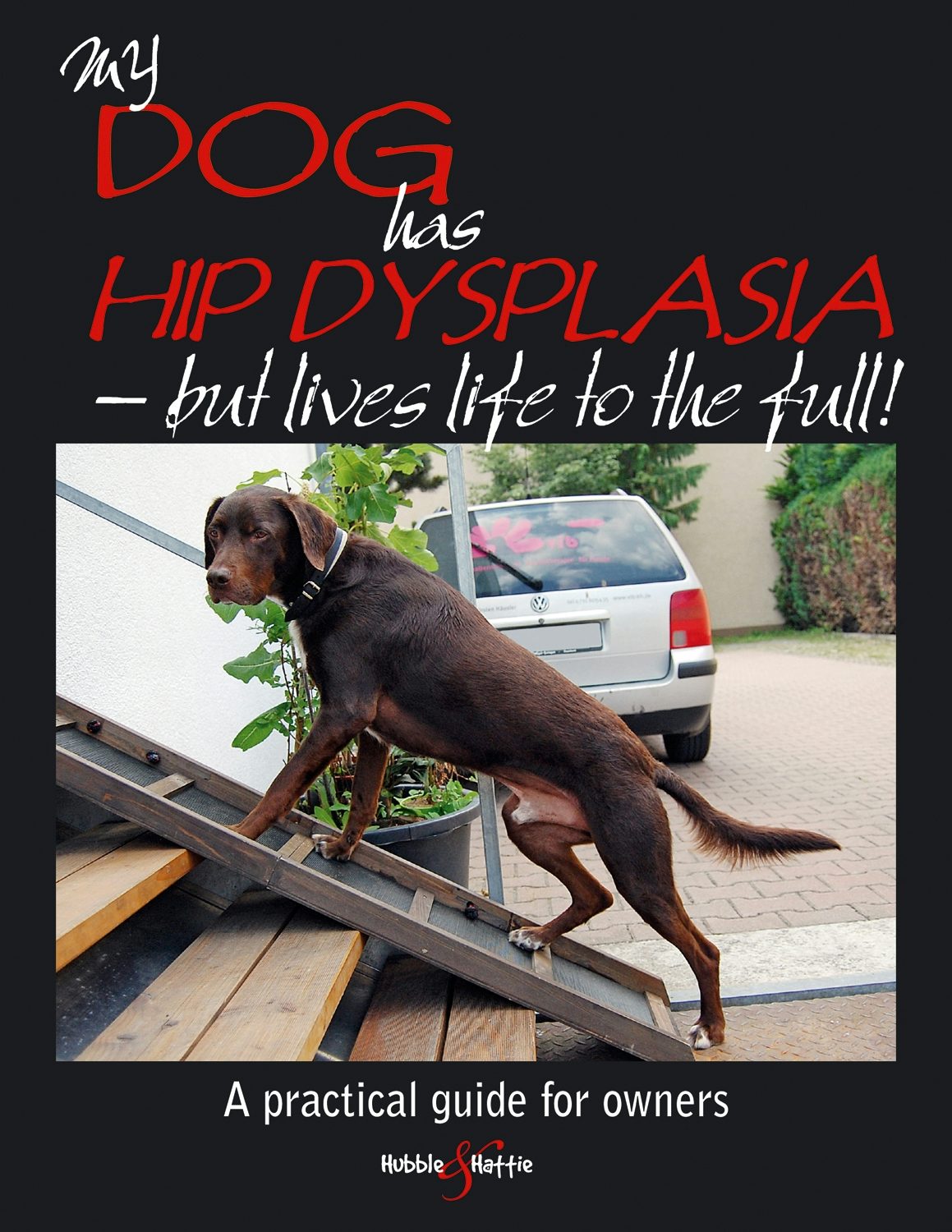 Book cover image for My dog has hip dysplasia ISBN: 9781845847395