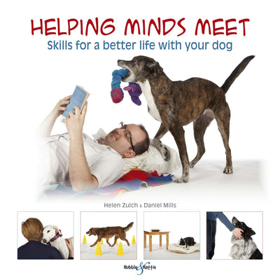 Cover image for Helping minds meet, isbn: 9781845848392