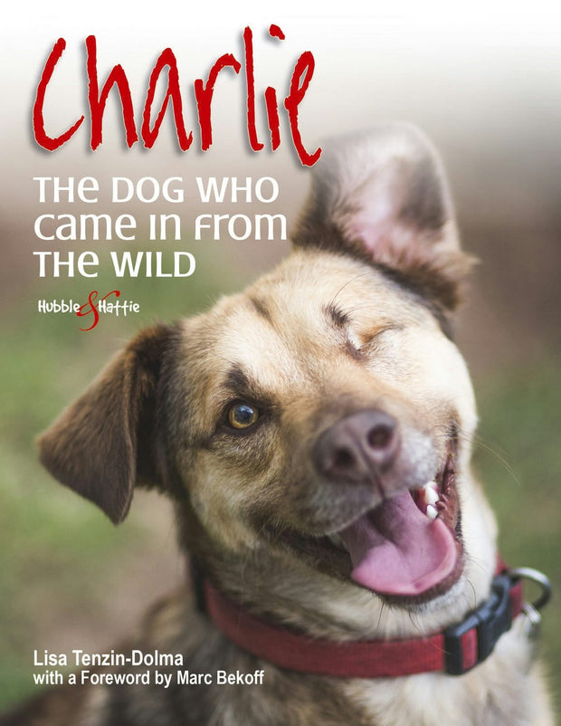 Cover image for Charlie, isbn: 9781845848422