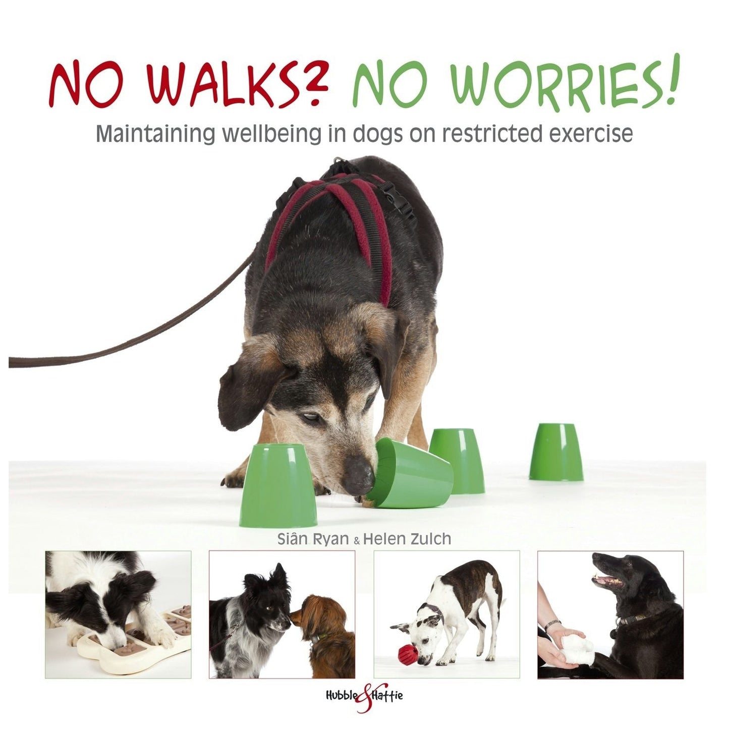 Book cover image for No walks? No worries! ISBN: 9781845848460