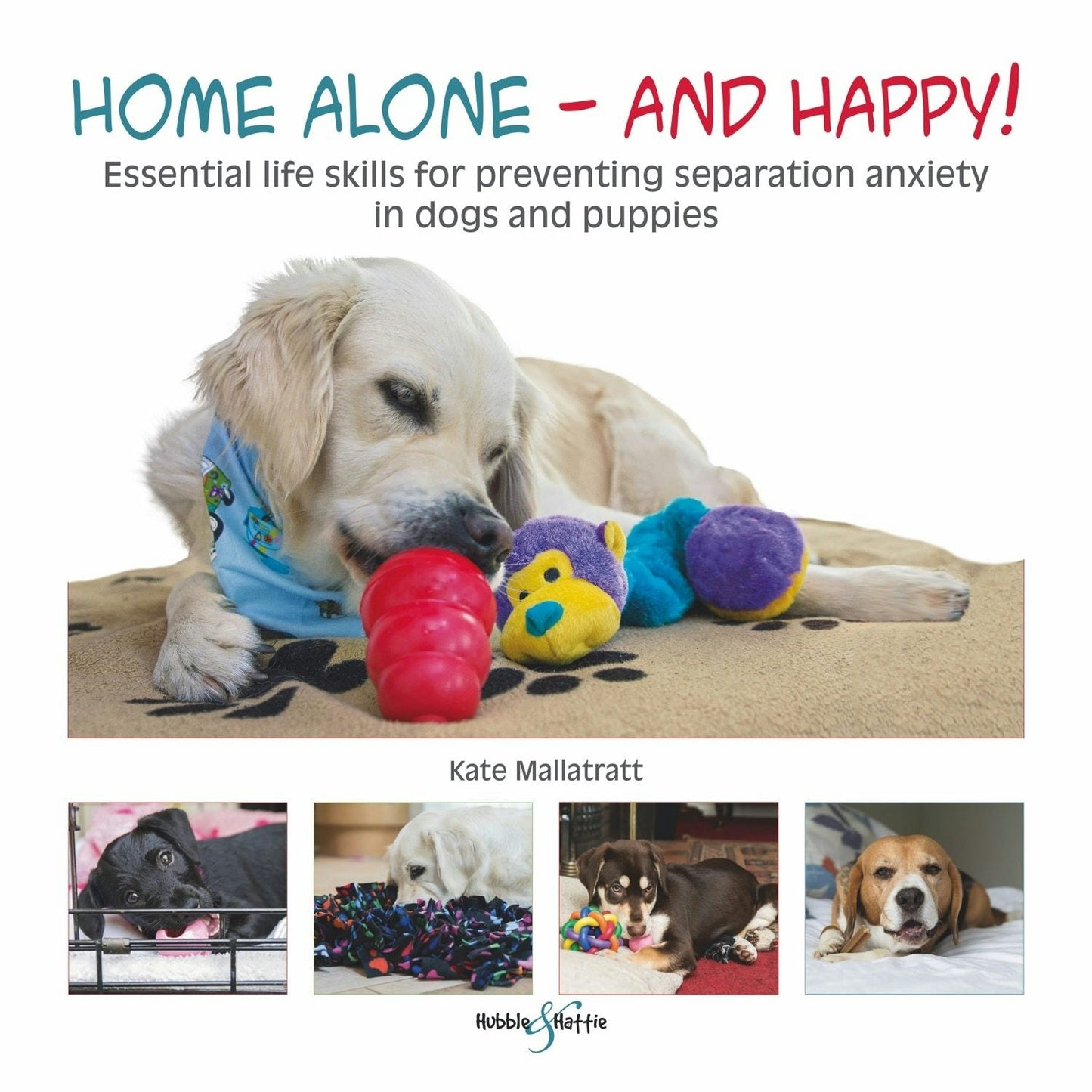 Book cover image for Home alone and happy! ISBN: 9781845848613