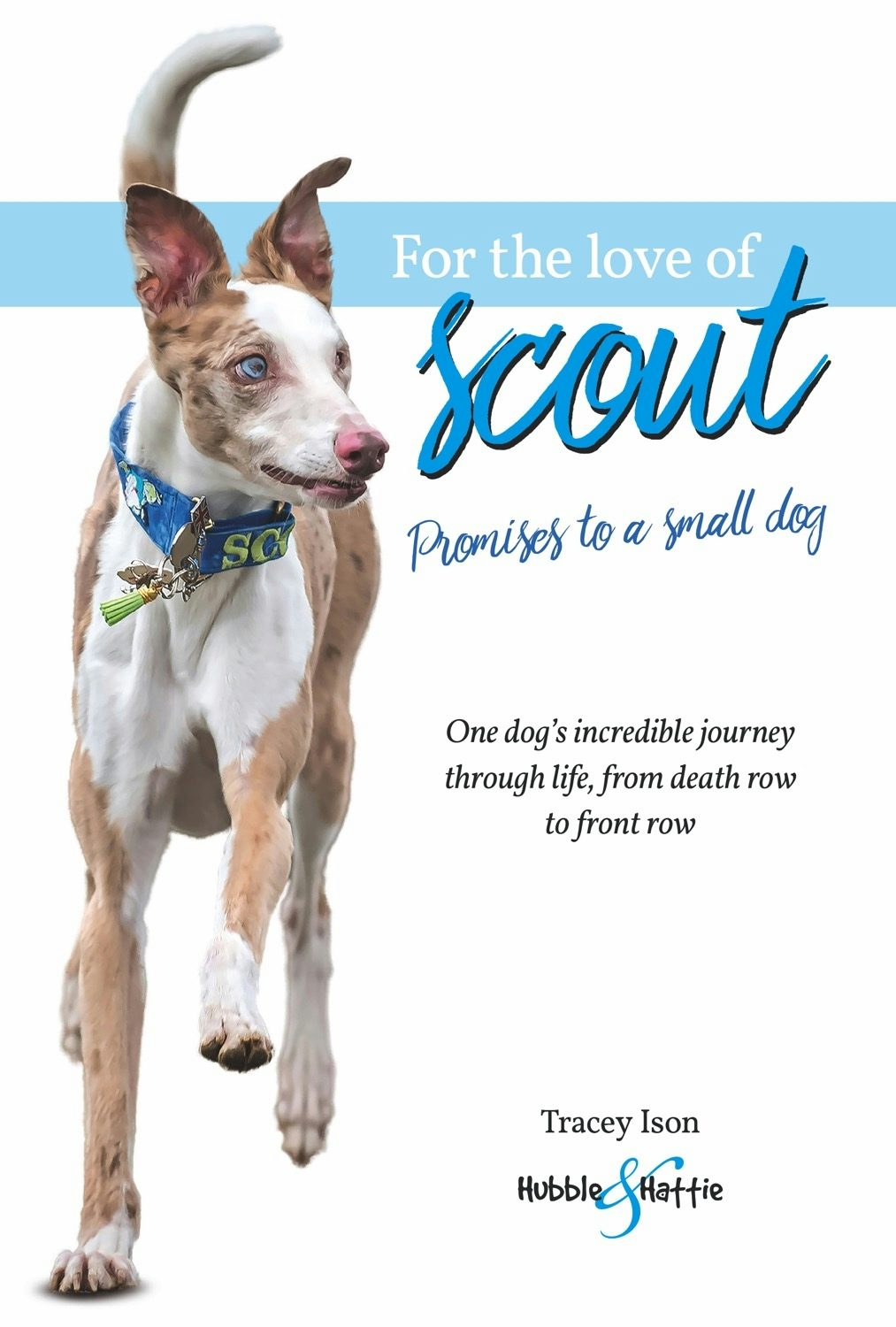 For the love of Scout