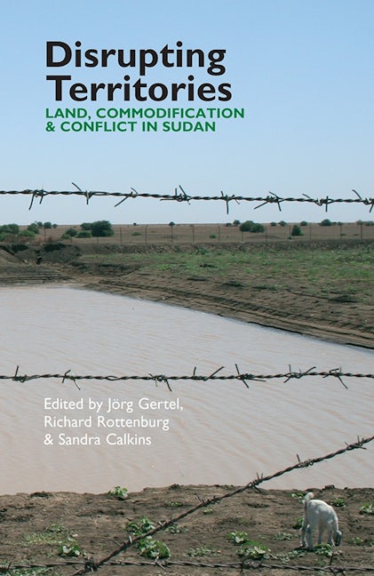 Book cover image for Disrupting Territories ISBN: 9781847010544