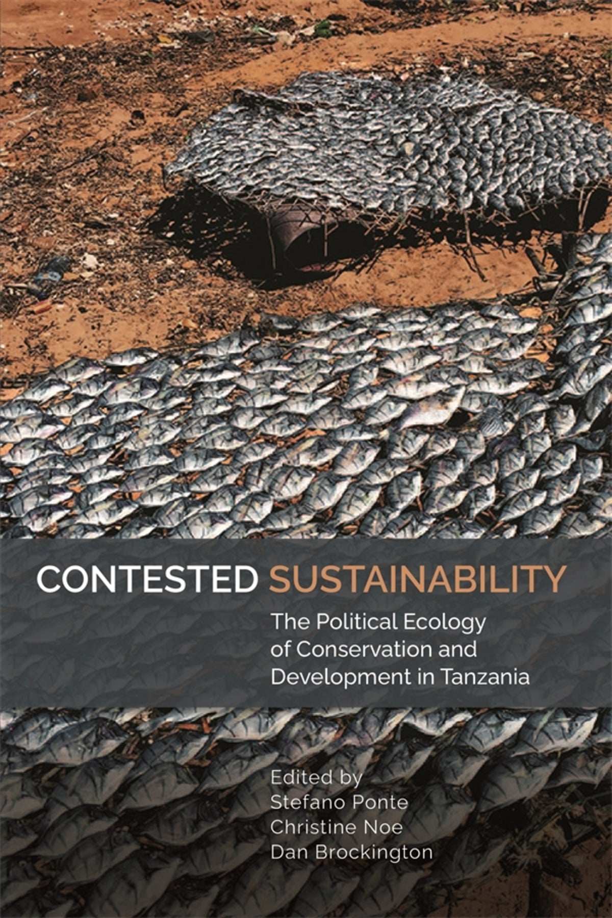 Cover image for Contested Sustainability ISBN 9781847013224