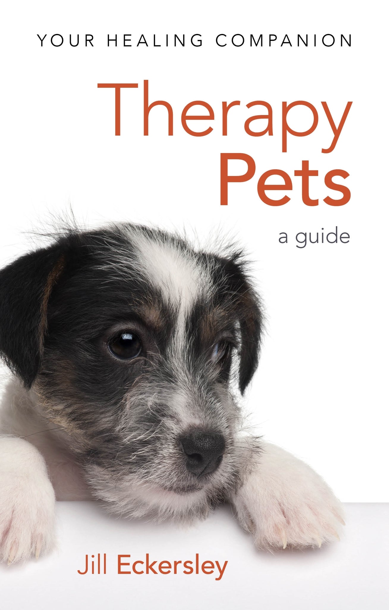 Cover image for Therapy Pets ISBN 9781847094100