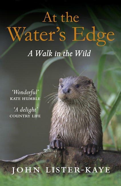 Book cover image for At the Water's Edge ISBN: 9781847674050
