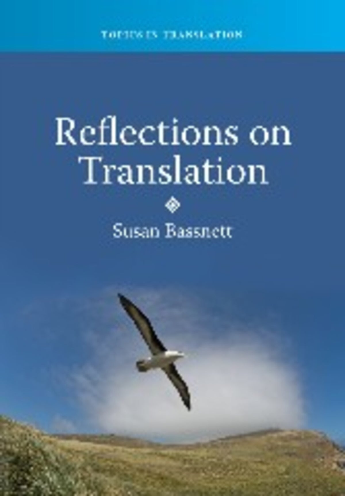 Cover image for Reflections on Translation ISBN 9781847694089