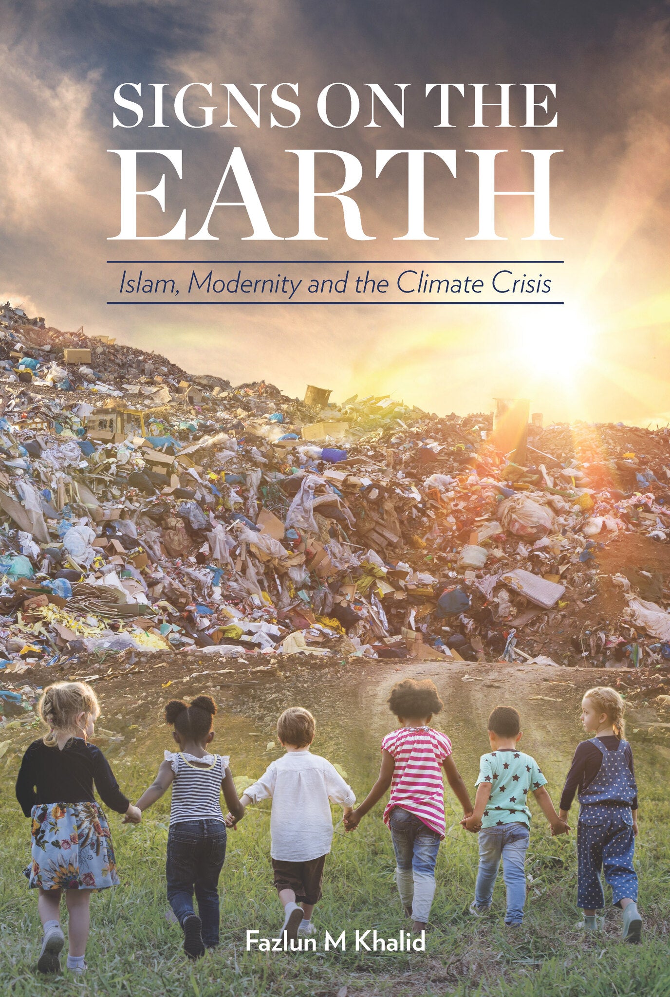 Cover image for Signs on the Earth ISBN 9781847740755