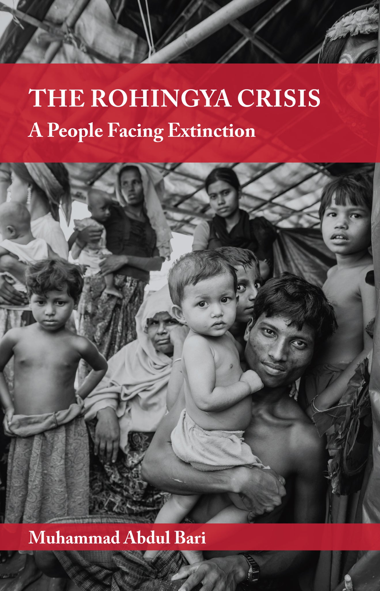 Cover image for The Rohingya Crisis ISBN 9781847741240