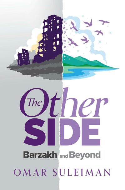 Cover image for The  Other Side, isbn: 9781847742872