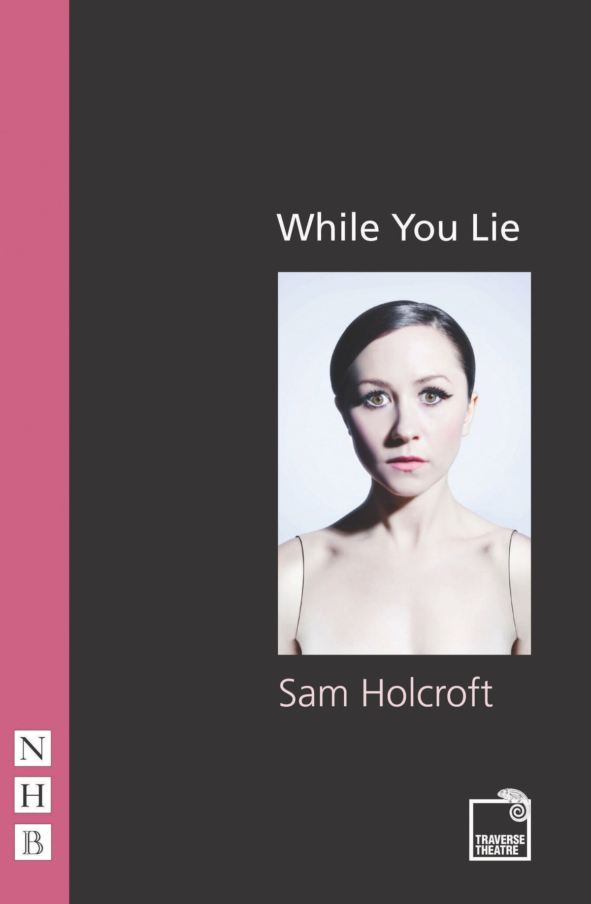Cover image for While You Lie ISBN 9781848421240