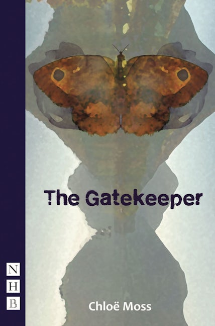 Book cover image for The Gatekeeper ISBN: 9781848422605