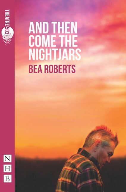 Book cover image for And Then Come the Nightjars ISBN: 9781848425118