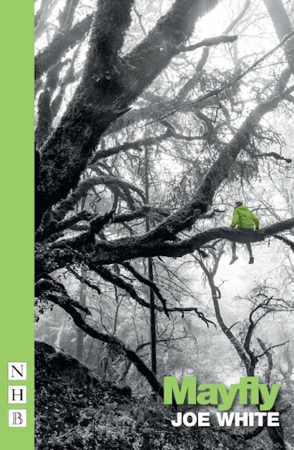 Book cover image for Mayfly ISBN: 9781848427341