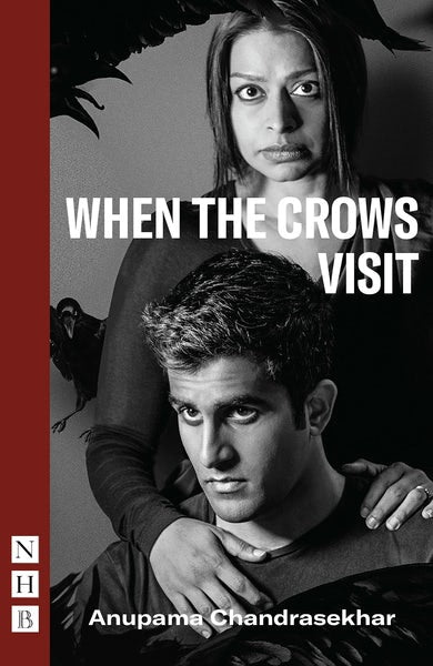 Book cover image for When the Crows Visit ISBN: 9781848428843