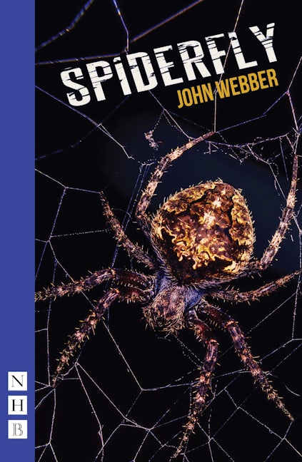 Book cover image for Spiderfly ISBN: 9781848429048