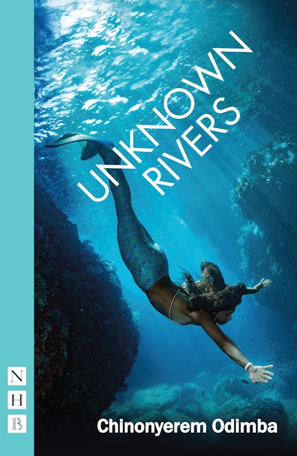 Book cover image for Unknown Rivers ISBN: 9781848429208