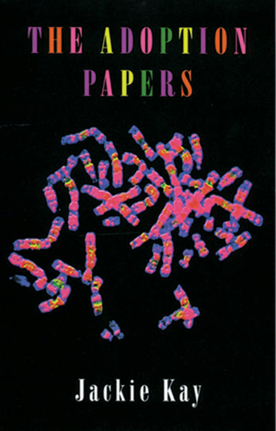 Cover image for The Adoption Papers, isbn: 9781852241568
