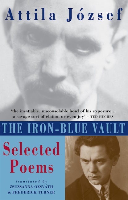 Book cover image for The Iron-Blue Vault ISBN: 9781852245030
