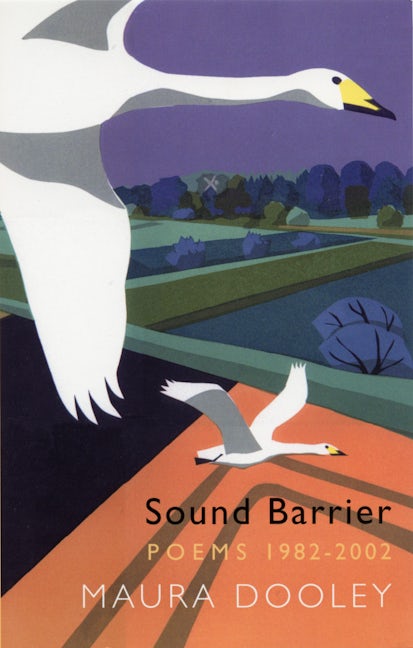 Book cover image for Sound Barrier ISBN: 9781852245788