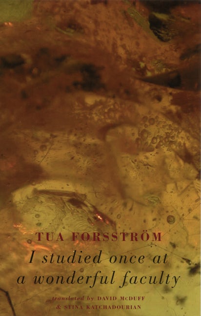 Book cover image for I studied at a wonderful faculty ISBN: 9781852246495