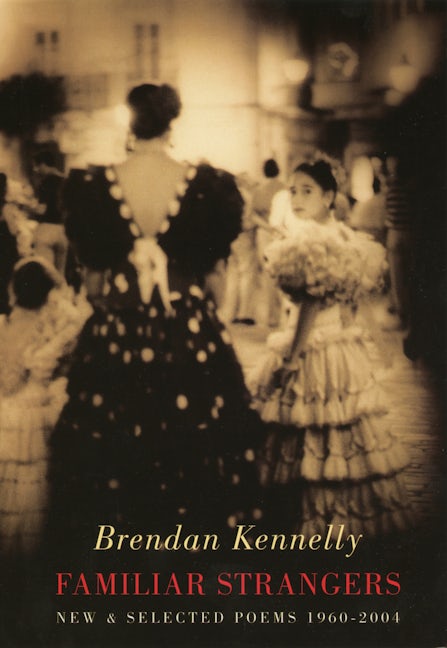 Book cover image for Familiar Strangers ISBN: 9781852246631