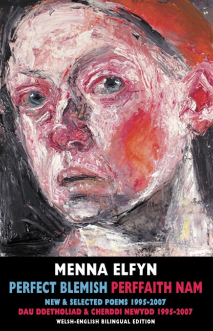 Book cover image for Perfect Blemish / Perffaith Nam ISBN: 9781852247799