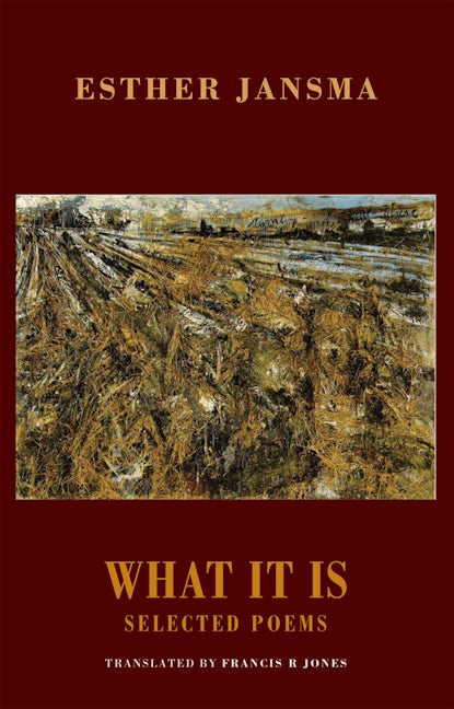 Book cover image for What It Is ISBN: 9781852247805