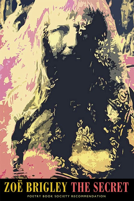 Book cover image for The Secret ISBN: 9781852247874